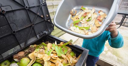 البحث عن حلول مستدامة لنفايات الطعام