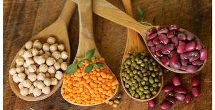 various-kinds-of-legumes-2021-08-26-16-54-24-utc