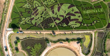 تايلاند: إبداع زراعي في تحويل حقول الأرز إلى لوحات تشكيلية تجذب السياح