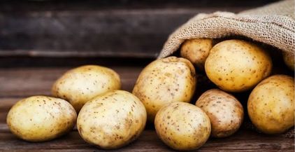 1076E642-CA47-4751-BAB8-3F668CBE7BF4