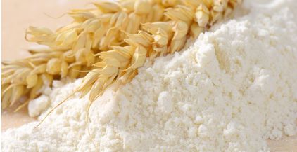 wheat-flour-and-wheat-ears-2021-08-26-17-13-30-utc