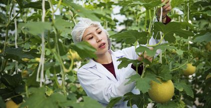 asian-scientist-studying-plants-and-fruits-2022-01-18-23-39-53-utc