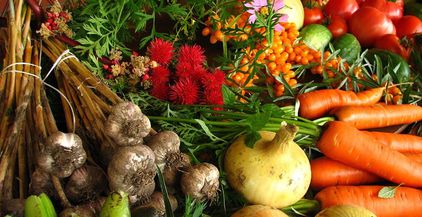 1280px-Ecologically_grown_vegetables