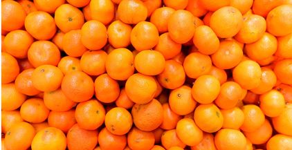top-view-of-orange-fruits-2021-08-27-18-15-06-utc