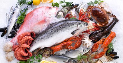 seafood-fish-2021-08-28-20-03-20-utc (1)