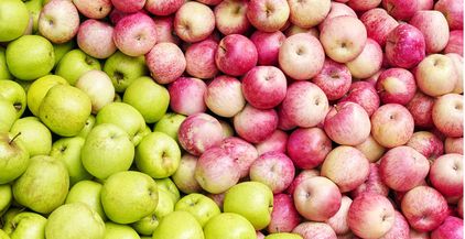red-and-green-apples-fruit-background-2021-08-26-22-41-28-utc