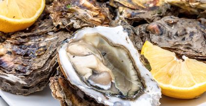 oysters-2021-08-26-16-29-13-utc