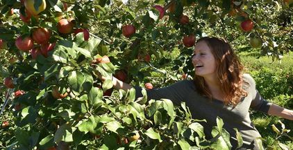 7dd43b56-598b-41f1-96d8-a6b2a07bfe17-DCA_0908_Door_County_apple_picking_Orchard_Country_16 (1)