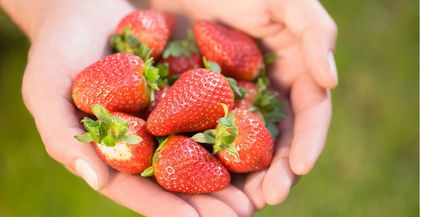 strawberries-2022-03-04-01-53-06-utc