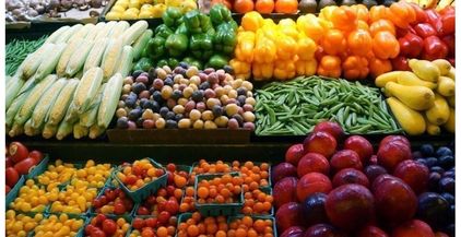 صادرات زراعية