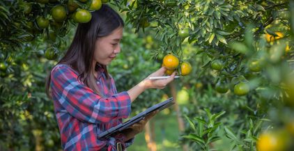 young-woman-farmer-checking-fresh-orange-by-table-2022-06-04-14-56-47-utc