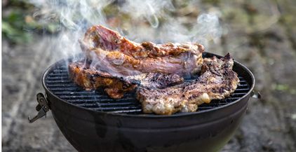 barbecue-2021-08-28-11-15-20-utc (1)