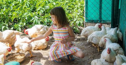 a-child-on-a-farm-with-a-chicken-selective-focus-2022-06-29-07-55-27-utc