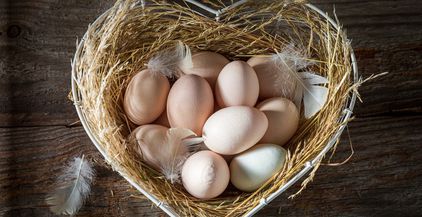 healthy-eggs-from-the-farm-eggs-from-free-range-2022-03-31-18-26-59-utc (1)