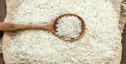 Basmati-Geographical-Indicator-768x427