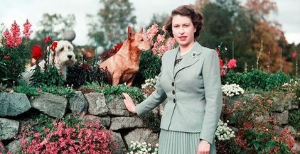 الملكة اليزابيث