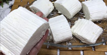 صناعة الجبن القريش