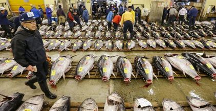 header-illegal-japanese-seafood-900x432
